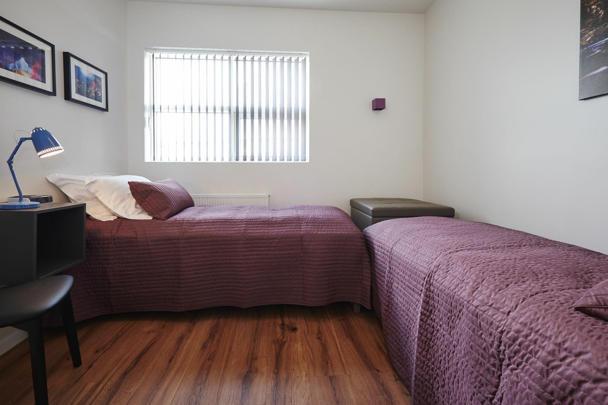 רייקיאוויק Opal Premium Apartments מראה חיצוני תמונה